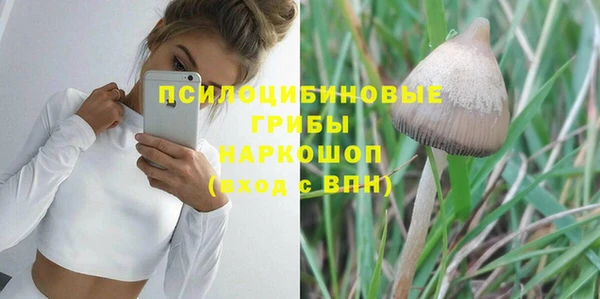 молекула духа Пересвет