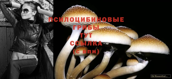 гидропоника Переславль-Залесский