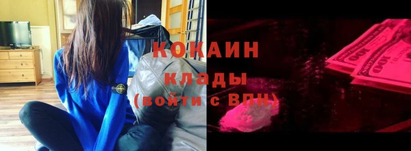 молекула духа Пересвет