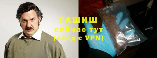 молекула духа Пересвет