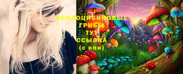 гидропоника Переславль-Залесский