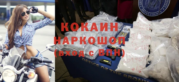 молекула духа Пересвет