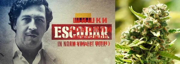 кокаин колумбия Пестово
