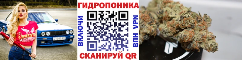 даркнет сайт  Сокол  Бошки Шишки планчик 